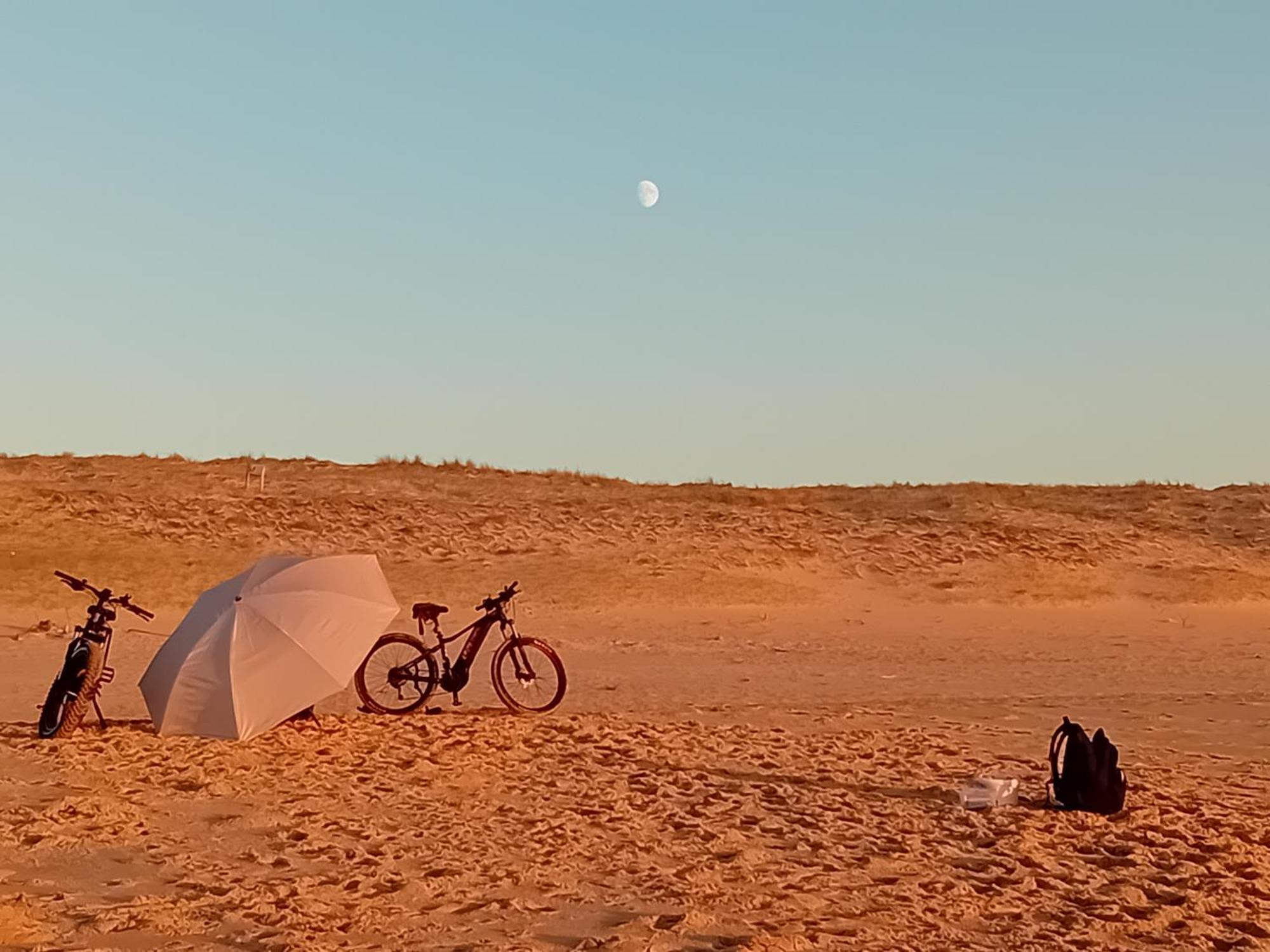 Le Spot Studio'Hotel "Les Pieds Dans Le Sable " Seignosse Buitenkant foto